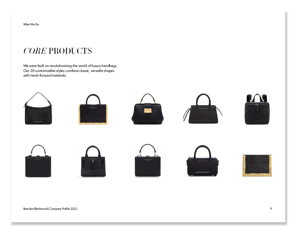 Brandon Blackwood brand book — core products