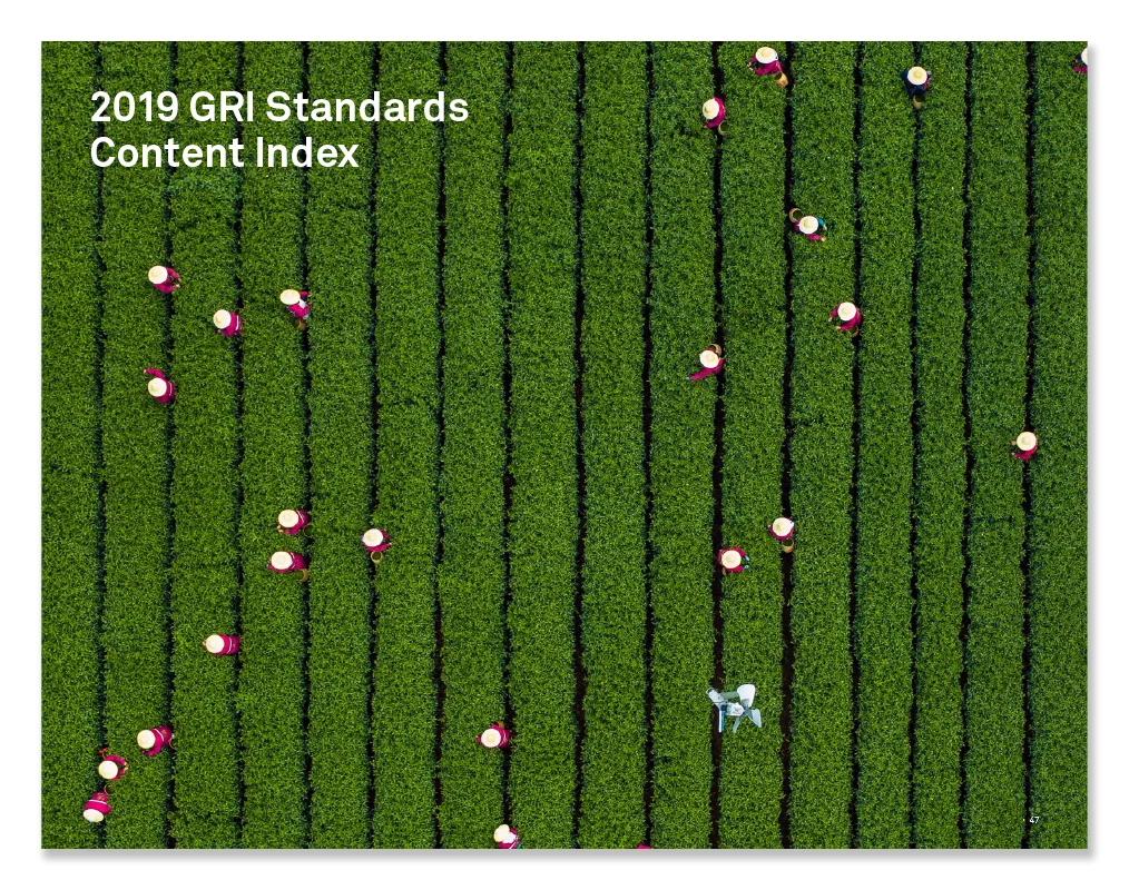 2019 ESG Report — section divider