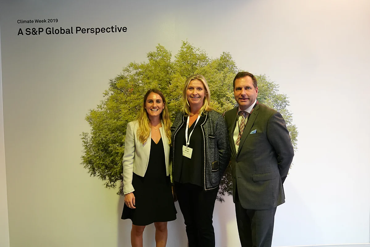 Climate Week 2019 — tree