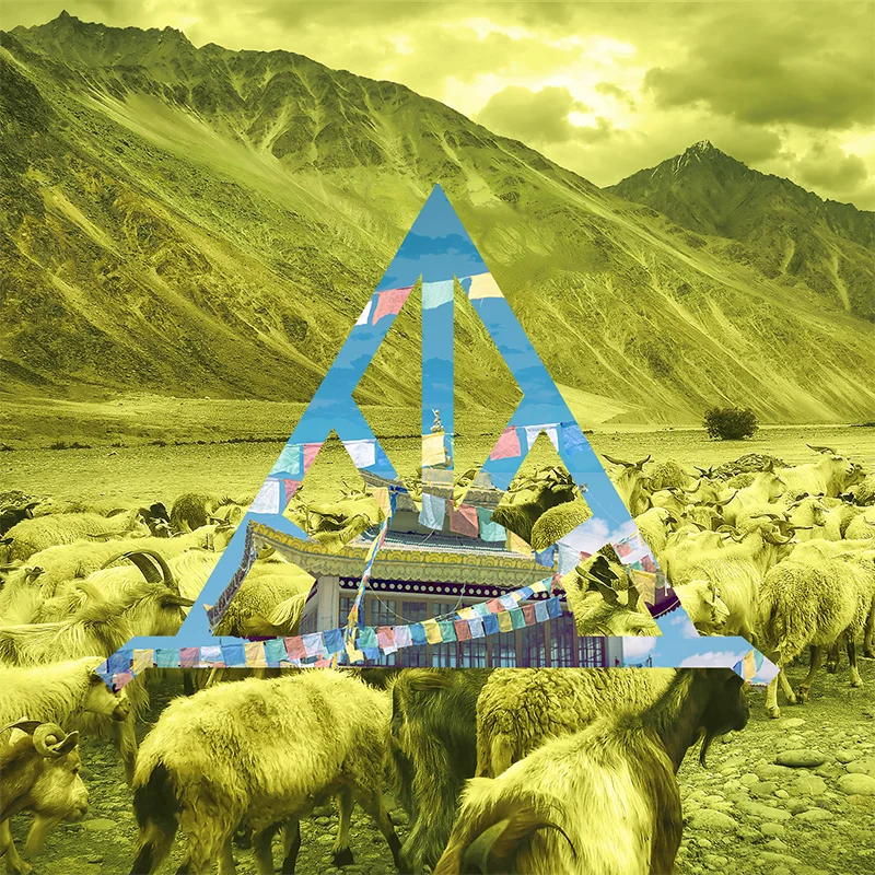 Himalaya Trippin’