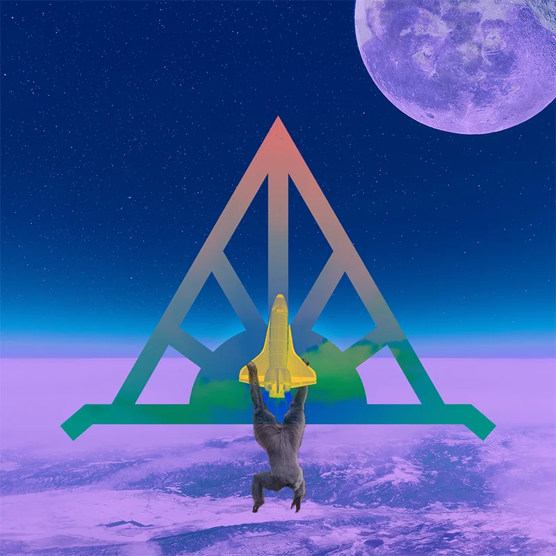 Monkeys On The Moon