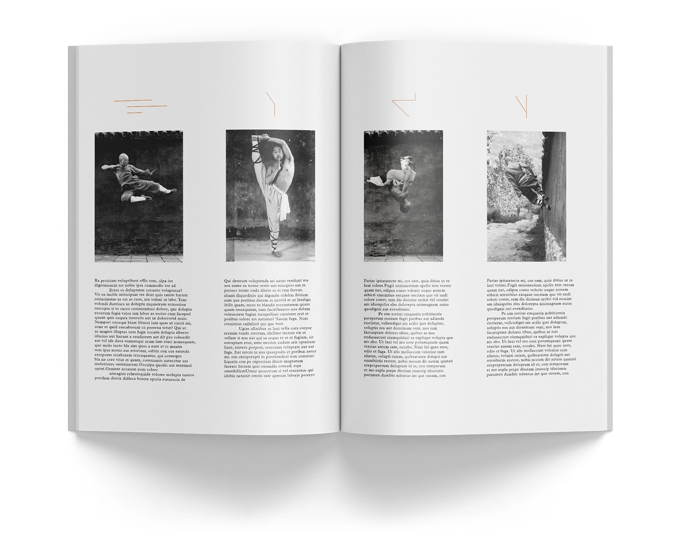 UNLEARN Shaolin spread 4