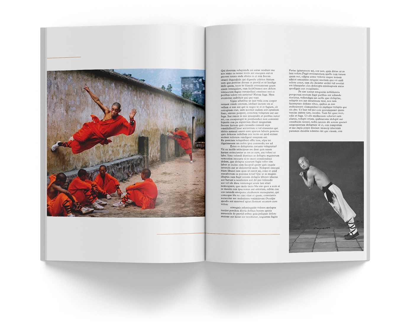UNLEARN Shaolin spread 5
